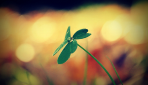 其他粉末冶金有哪些品牌图片和价格最新的,粉末冶金属于有色金属行业吗