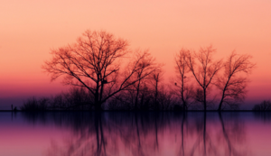 石膏矿石一吨价格行情分析,石膏矿值钱吗