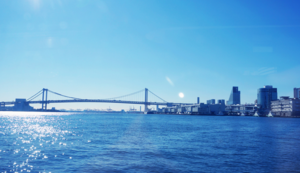 欢迎在宝塔面板安装Z-BlogPHP！